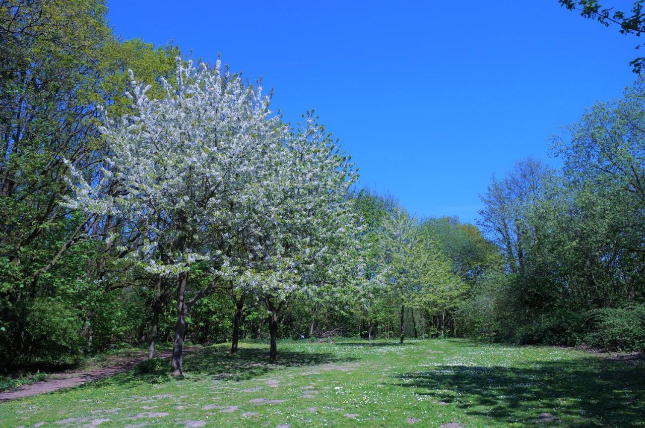 希尔克道夫Panoramic App A09-5公寓 外观 照片